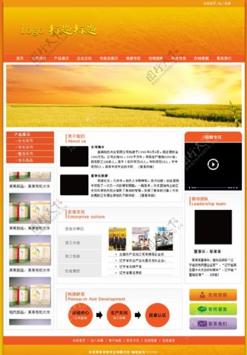 黄色米业网站图片