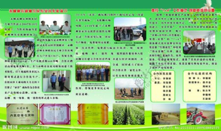 农业合作社彩页图片