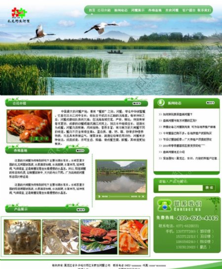绿色河蟹网页设计图片