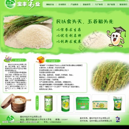 粮食米业网站首页效果图图片