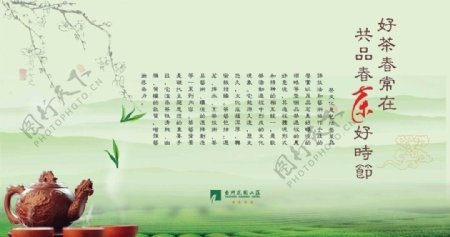 春茶广告图片
