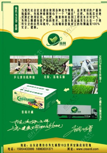 绿色蔬菜宣传页图片