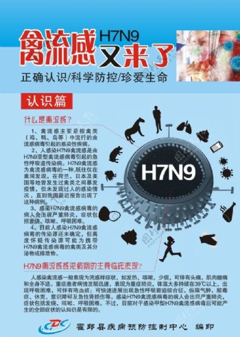 禽流感H7N9图片