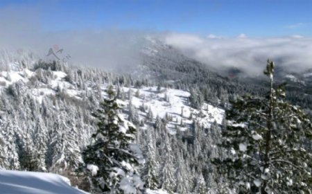 雪山风景视频图片