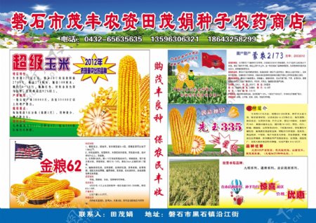 玉米种子宣传单图片