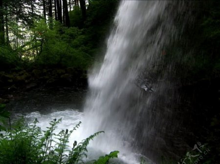 山泉溪水瀑布高清动态素材图片
