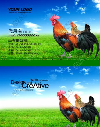 名片畜类信息企业设计图片