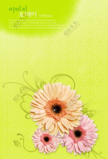 鲜花背景PSD分层素材图片
