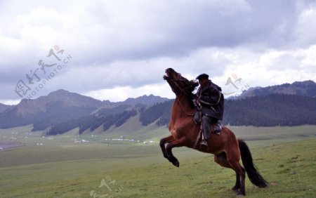哈萨克牧民驯马图图片