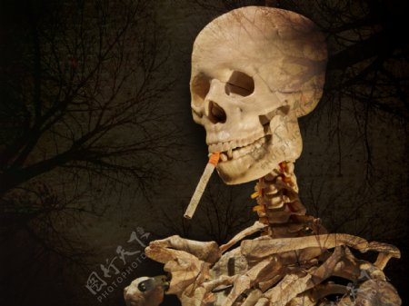 吸烟的危害图片