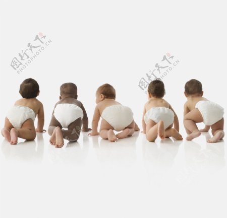 一群趴着的婴儿宝宝图片
