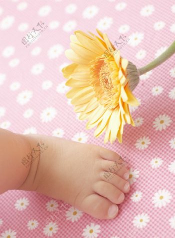 婴儿宝宝的小脚和鲜花图片