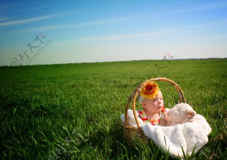 草地上篮子里面的可爱宝宝图片