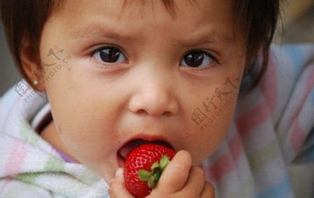 吃草莓的小女孩图片