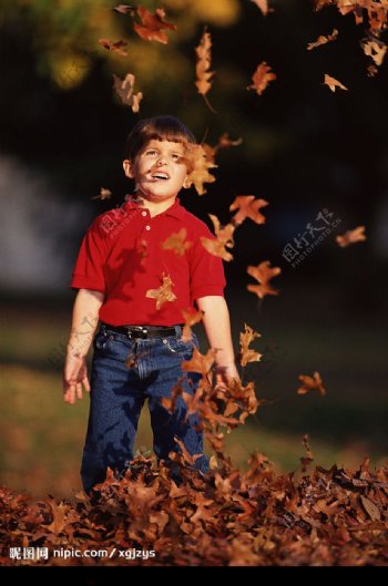 秋天里的男孩图片