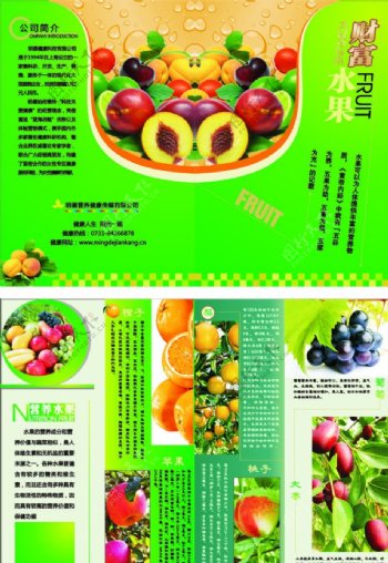 水果营养图片