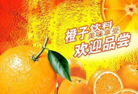 橙子饮料美味享受欢迎品尝橙子水果果汁图片