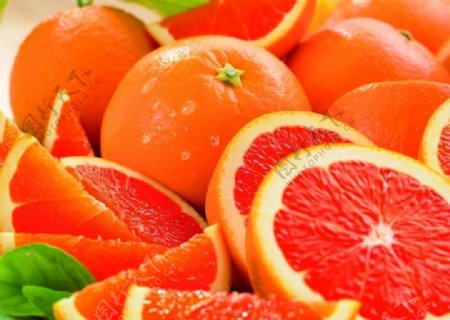 桔子橙子柚子图片