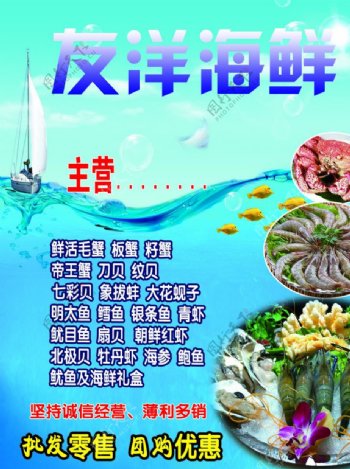 海鲜优惠图片