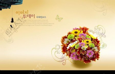 韩国风格花卉图片