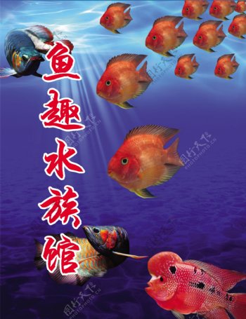 鱼趣水族馆海报图片