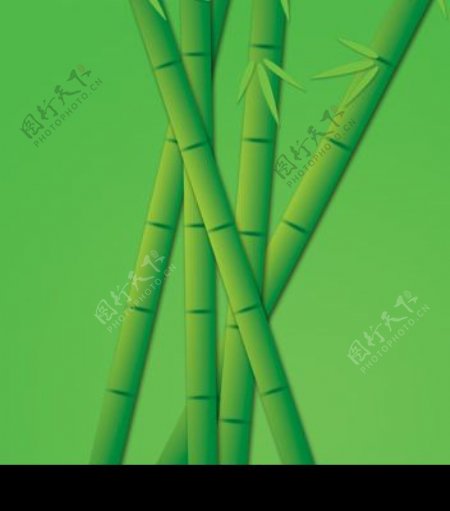 竹叶竹节白云图片