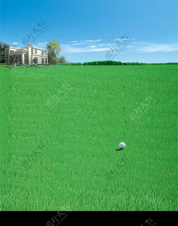 房地产高尔夫图片