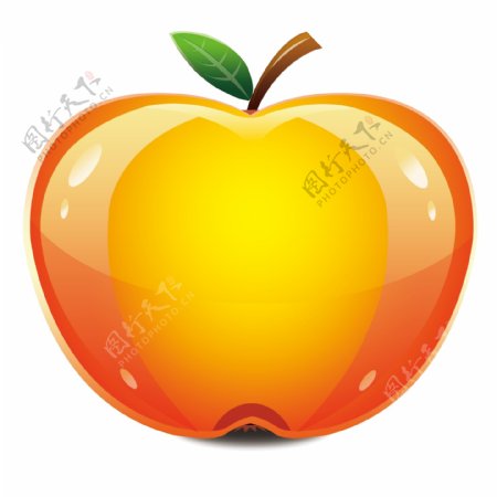 漂亮苹果富士金苹果图片