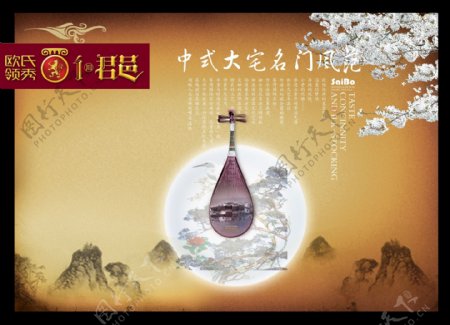 中国风琵琶图片