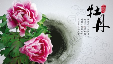 中国名花之牡丹图片