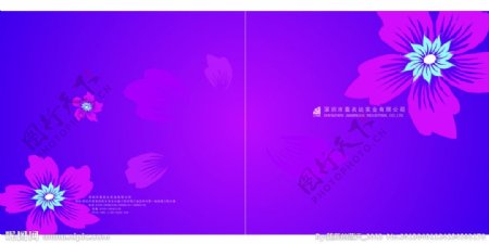紫色封面图片