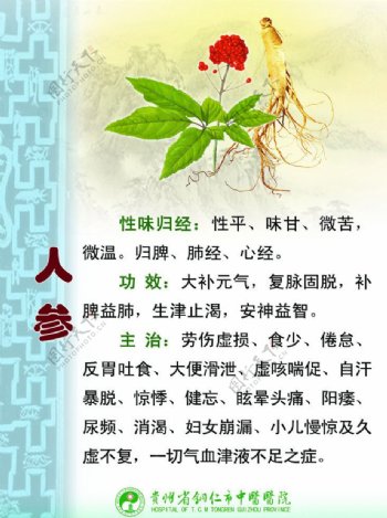 人参药物作用图片