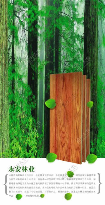 永安林业森林海报图片