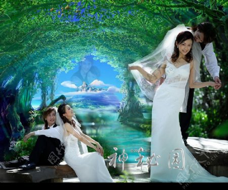 神秘园PSD婚纱背景图片