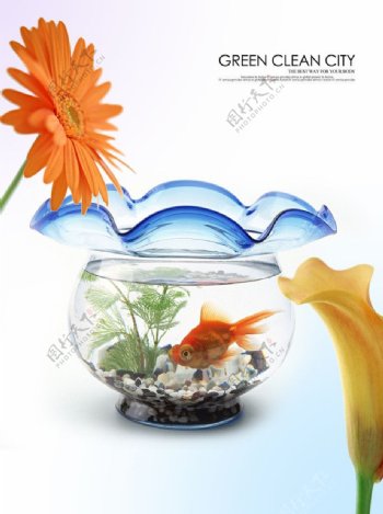 金鱼鱼缸图片