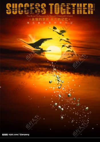 大雁水珠云层图片
