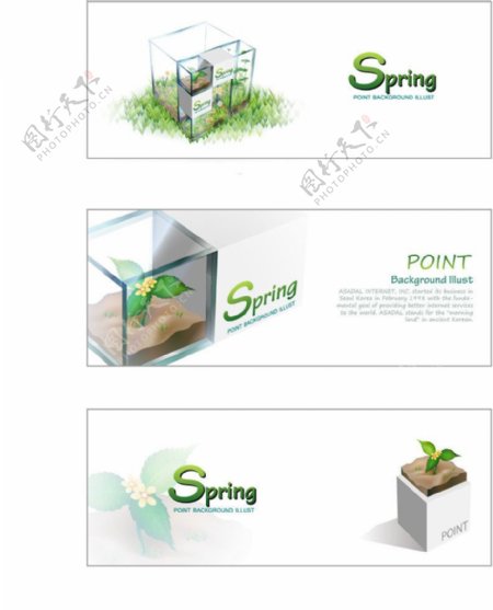 绿色环保spring植物图片