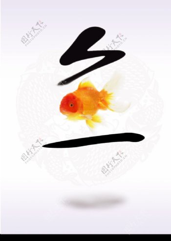 中国鱼图片