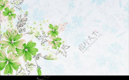 PSD韩国花纹花朵图图片