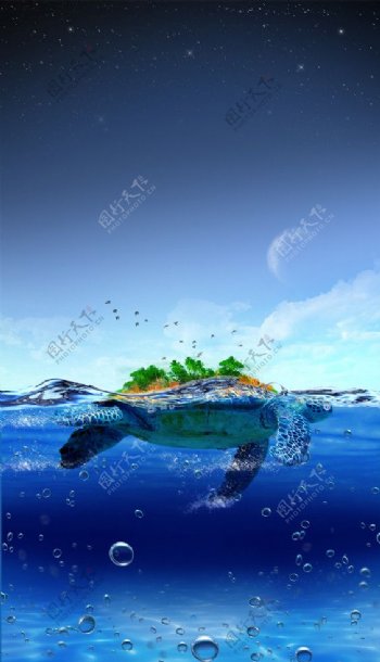 海龟岛海报图片