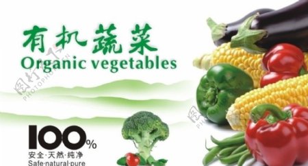 有机蔬菜图片