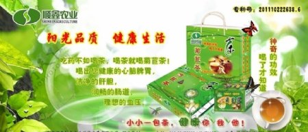 菊苣茶广告图片