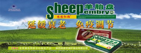 羊胎盘宣传海报图片