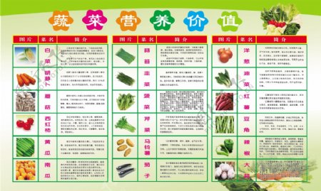 蔬菜知识海报图片