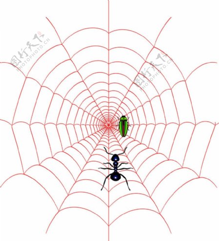 蜘蛛网绘制图片
