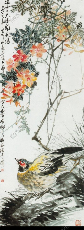中国现代花鸟0071