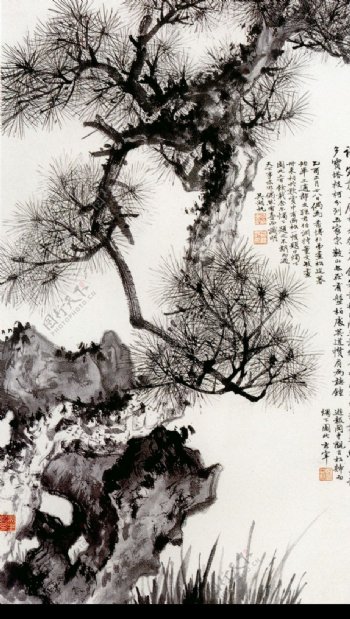 中国现代花鸟0139
