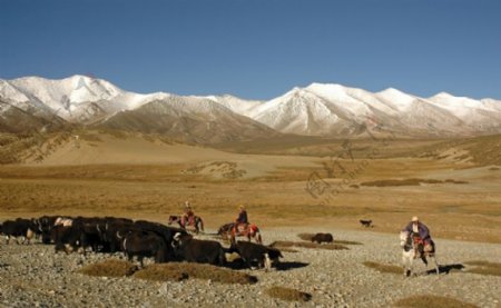 西藏人文0043