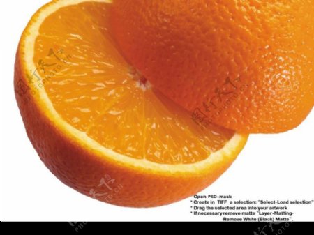 香橙0021