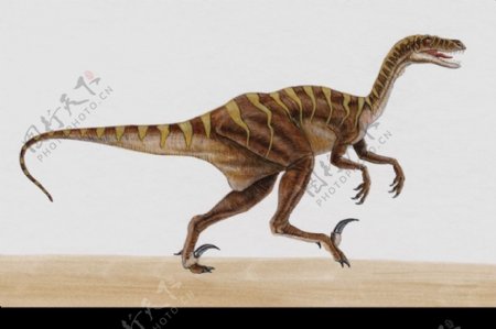 白垩纪恐龙0002